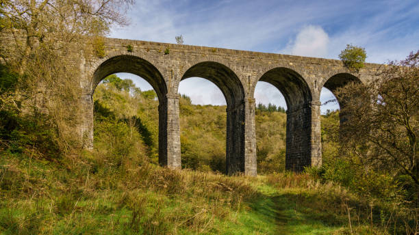 istock Pontsarn Viaduct, Wales, UK 902804144