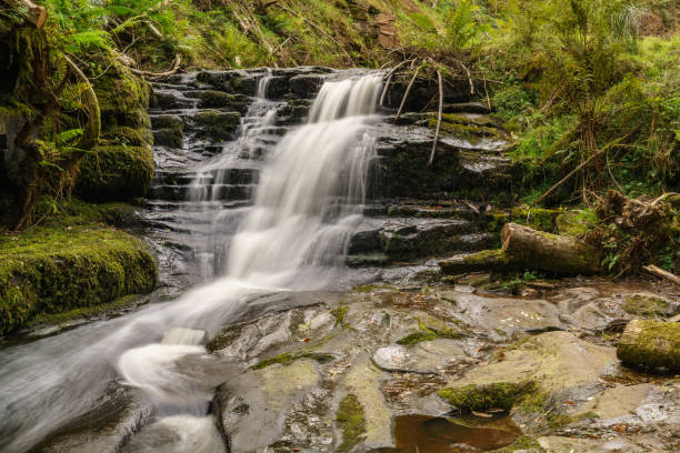 istock Waterfall in Blaen-y-glyn, Wales, UK 902804166