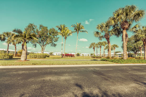 Gated community condominiums with palms by the road, South Florida