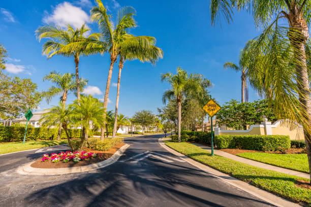istock Gated community road with palms in South Florida 902804188