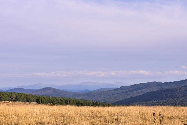 istock Blue sky. Green forest. High mountains. Field 902805402