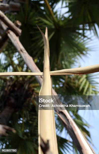 Dry Palm Leaf Set Cross To Crucifix On Palm Leaves With Sky Background Stock Photo - Download Image Now