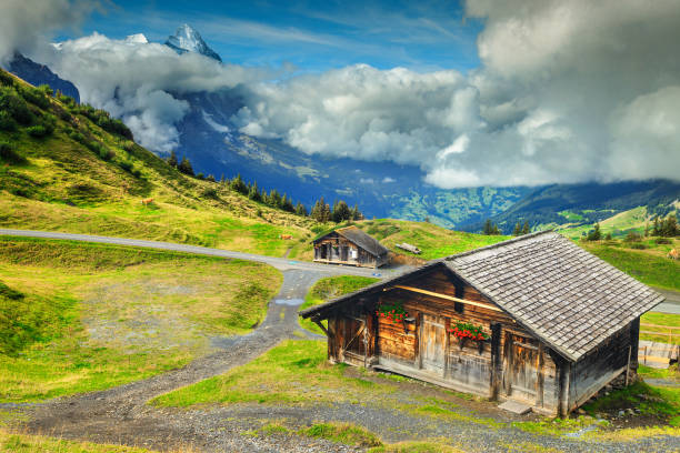 typowe szwajcarskie alpejskie gospodarstwa i ośnieżone góry, berneński oberland, szwajcaria - interlaken mountain meadow switzerland zdjęcia i obrazy z banku zdjęć