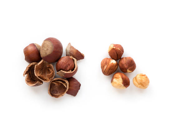 Isolated hazelnut kernels on white background. stock photo