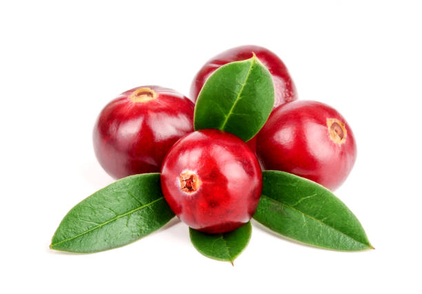 istock Cranberry with leaf isolated on white background closeup macro 902812254