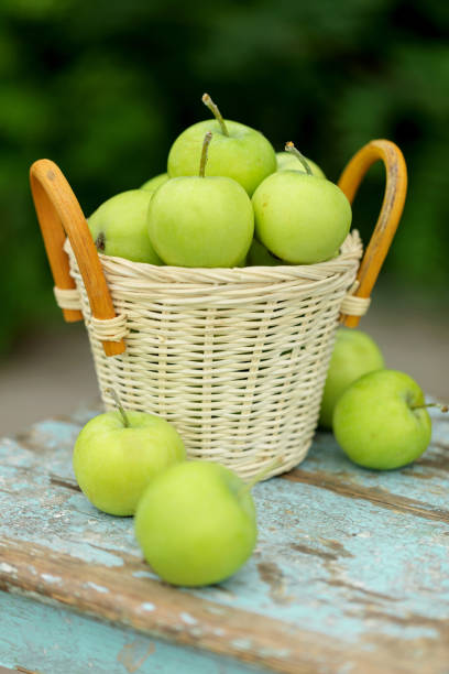 Fresh green apples wrapped in foam netting for protection, fruit market display.