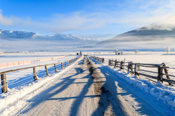 estrada de inverno no nevoeiro de manhã cedo, na aldeia de mauterndorf, terra de salzburg, áustria - mountain austria street footpath - fotografias e filmes do acervo