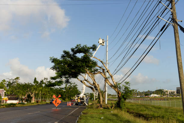 Electrical workers repairing power lines stock photo