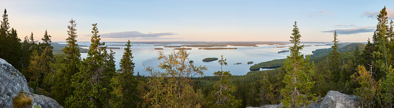 Panoramic landscape view. Koli National Park. Pielinen area. Finland nature