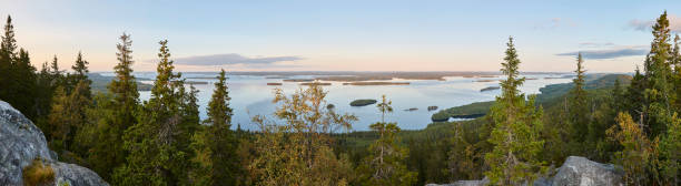 Panoramic landscape view. Koli National Park. Pielinen area. Finland stock photo