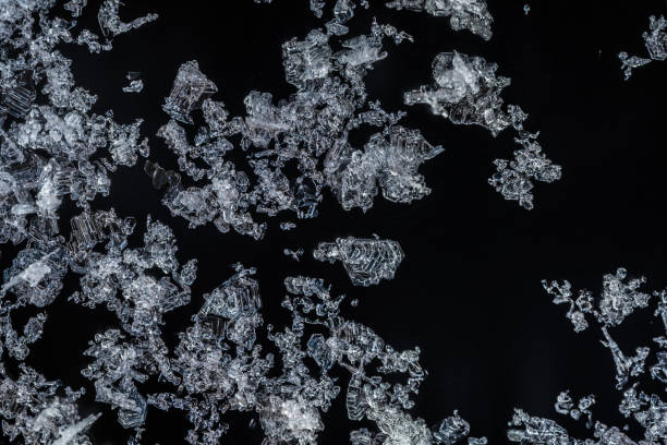 different snow crystals on snow grain classification card used to predict the likelyhood of an avalanche