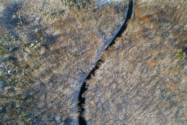 istock 4 Seasons - road through forest in winter aerial view 902823234