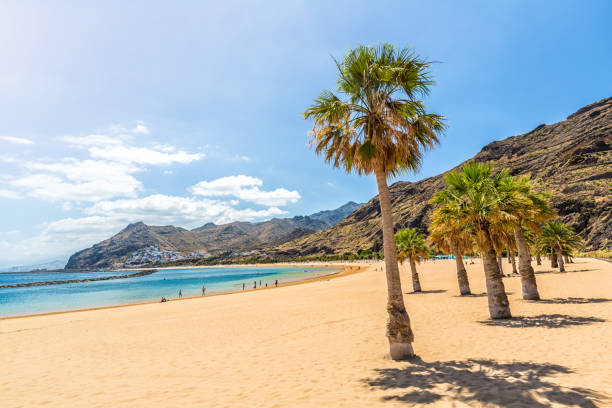 istock Playa De Las Teresitas, Tenerife 902823946