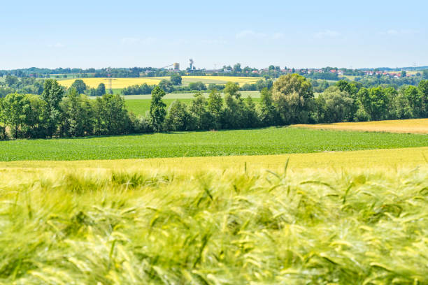 istock rural scenery in Hohenlohe 902827270