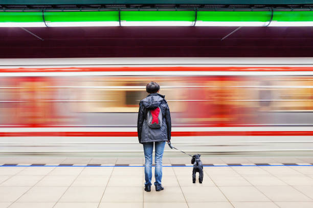 istock Woman with dog at subway station with blurry moving train 902827630