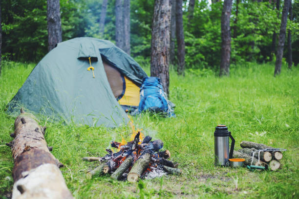 istock Cooking breakfast on a campfire at a summer camp. 902830036