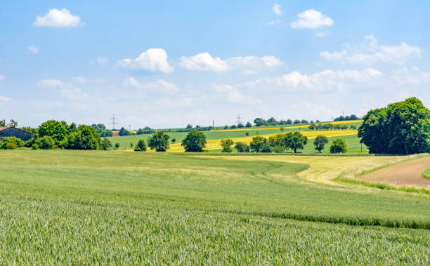 istock rural scenery in Hohenlohe 902831332