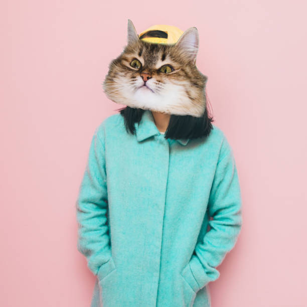 istock Funny face of cat's head 902832346
