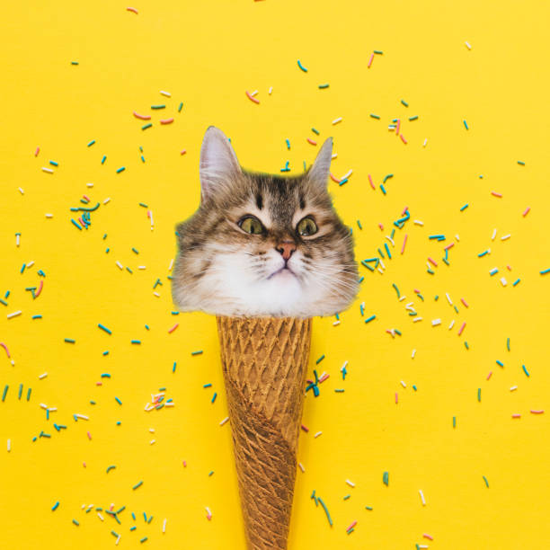 Funny cat's heads on ice cream cone. Funny cat's heads on ice cream cone. Fashion art collage pattern. neon sign ice cream stock pictures, royalty-free photos & images