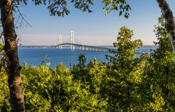 vista del ponte sull'ara da st ignace michigan incorniciata da alberi - straits of mackinac foto e immagini stock