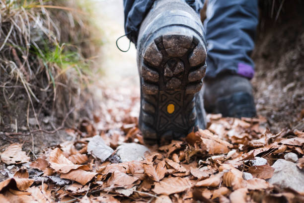 botas para excursionistas caminando en la ruta del bosque - switzerland hiking boot outdoor pursuit recreational pursuit fotografías e imágenes de stock