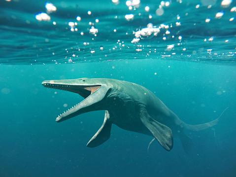 giant extinct ocean creature
