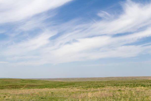 카자흐스탄의 확대에 녹색 대초원 - prairie sky grass large 뉴스 사진 이미지