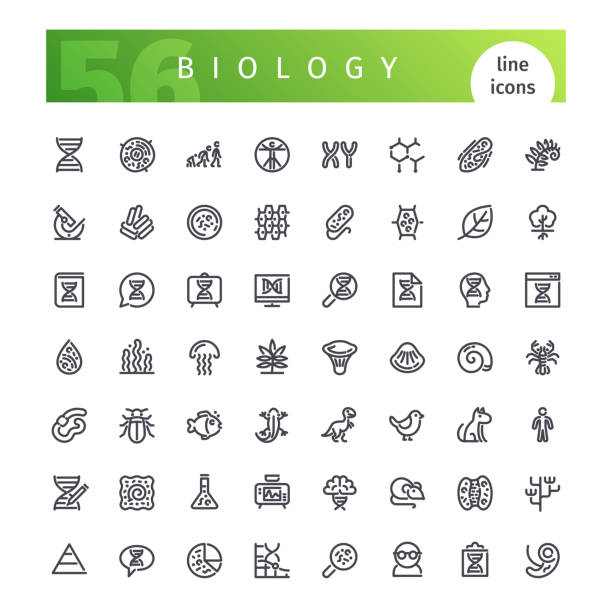illustrations, cliparts, dessins animés et icônes de biologie ligne icons set - microscope medical exam healthcare and medicine science