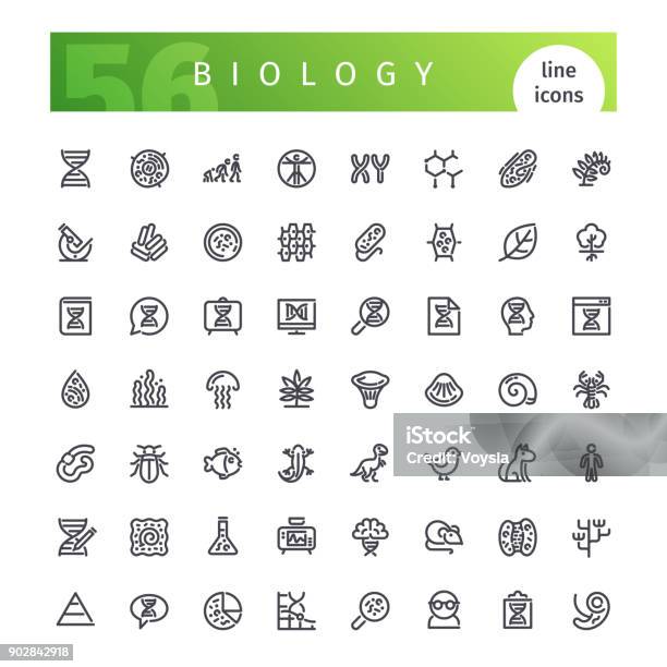 Biologie Ligne Icons Set Vecteurs libres de droits et plus d'images vectorielles de Icône - Icône, Chromosome, Science