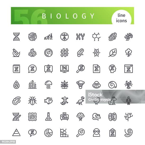 생물학 라인 아이콘을 설정 아이콘에 대한 스톡 벡터 아트 및 기타 이미지 - 아이콘, 염색체, 과학