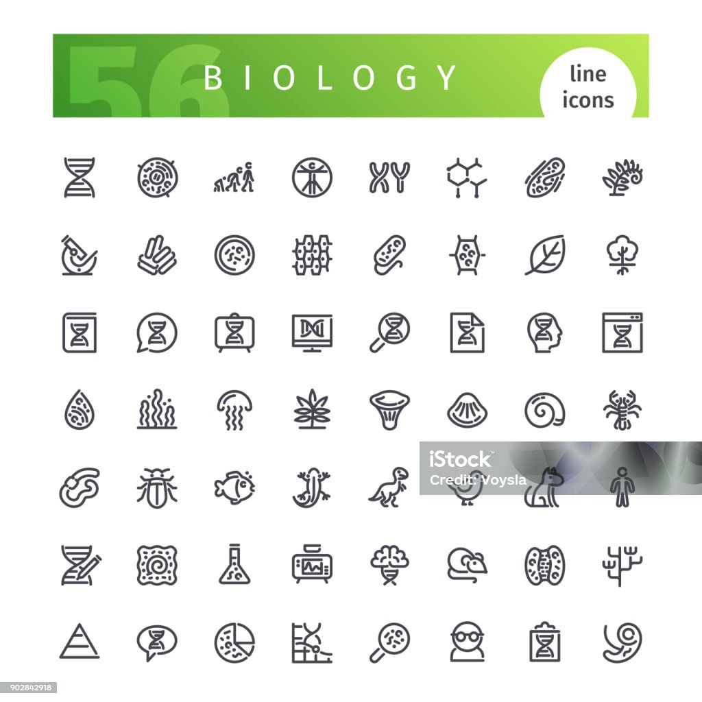 Biology Line Icons Set Set of 56 biology line icons suitable for web, infographics and apps. Isolated on white background. Clipping paths included. Icon Symbol stock vector