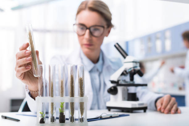 istock Scientist examining test tube 902843060