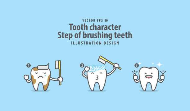 zahn-charakter schritt putzen zähne illustration vektor auf blauem hintergrund. dental konzept. - tooth character stock-grafiken, -clipart, -cartoons und -symbole