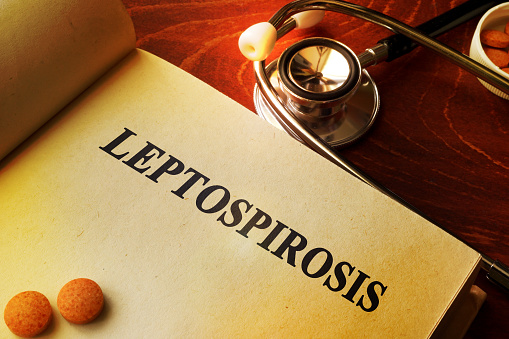 Book with title Leptospirosis on a table.
