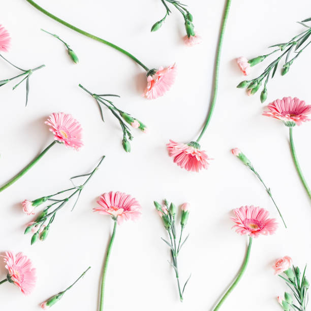 istock Pattern made of pink flowers. Flat lay, top view, square 902846570