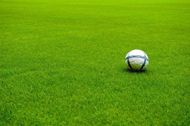 istock Green Grass soccer field 902846814