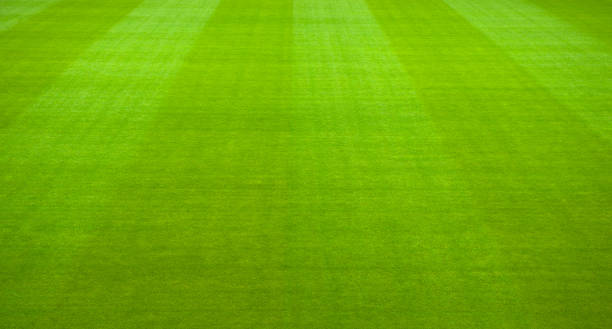 istock Green Grass soccer field 902847174