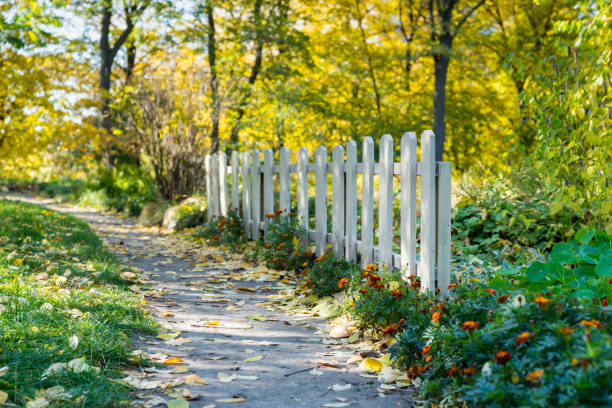 istock White wooden fence in a park or a forest with a path in the middle 902847642