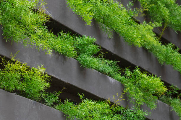 istock Vertical garden with young plants growing 902850416