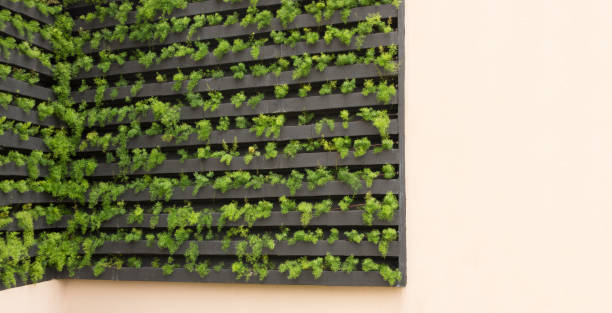 istock Vertical garden with young plants growing 902850446