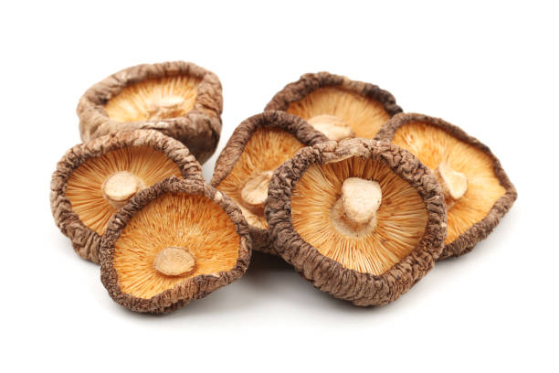 funghi shiitake essiccati isolati su sfondo bianco - shiitake mushroom mushroom dried food dried plant foto e immagini stock