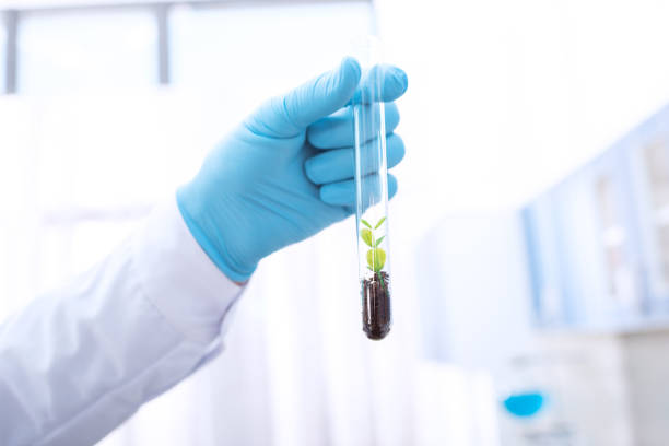 istock doctor holding test tube 902866842
