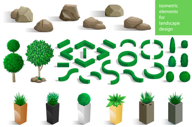 bildbanksillustrationer, clip art samt tecknat material och ikoner med uppsättning av landskapselement - buxbom