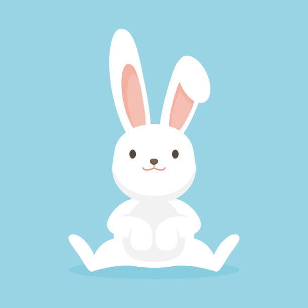 ilustrações de stock, clip art, desenhos animados e ícones de cute rabbit character, easter bunny vector illustration. - hare