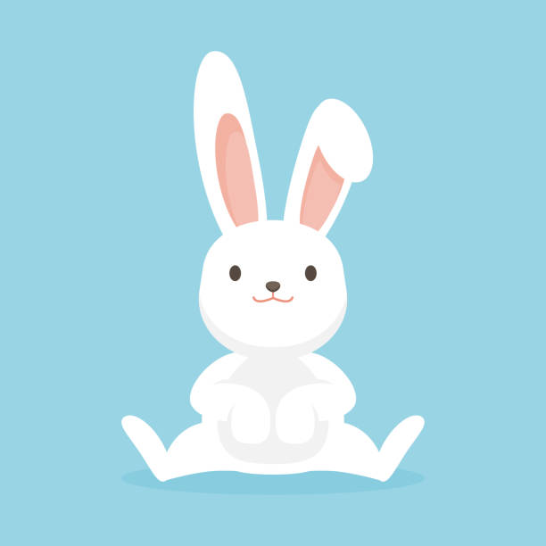 симпатичный кролик характер, пасхальный кролик вектор иллюстрации. - кролик stock illustrations