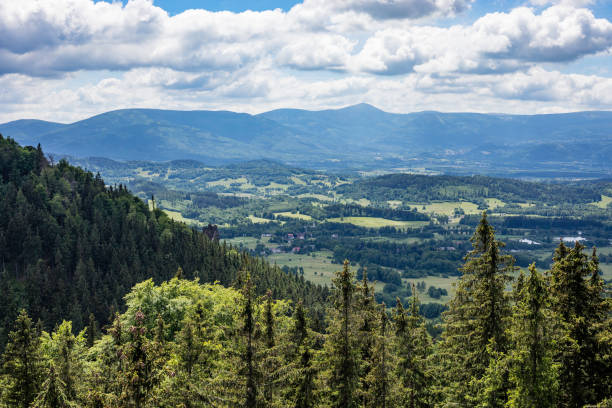 panoramic mountain view - ridge mountain wilderness area poland imagens e fotografias de stock