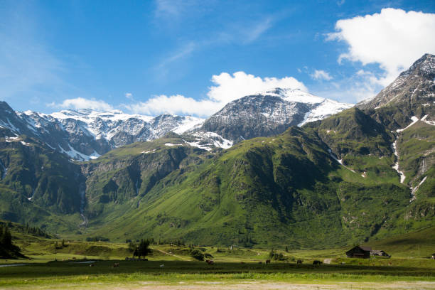 istock Old house in the Alps 902871030