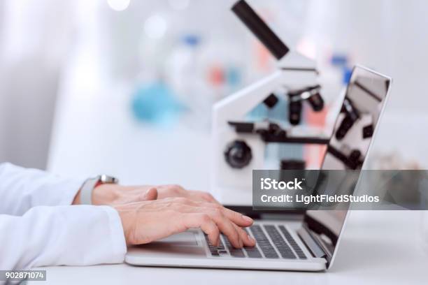 Scientist Using Laptop Stock Photo - Download Image Now - Scientist, Laboratory, Computer