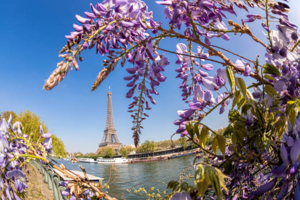istock Eiffel Tower with boat during spring time in Paris, France 902871332