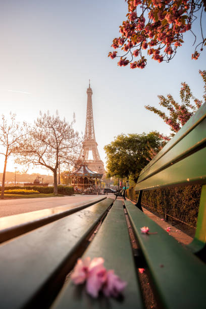 istock Eiffel Tower with spring trees in Paris, France 902871494